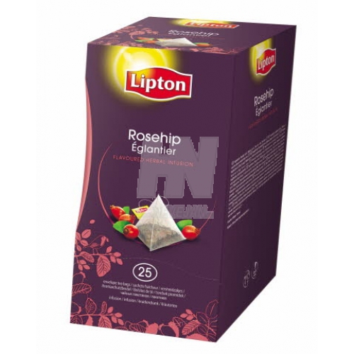 Lipton Thee Bosvruchten Pyramids Excl. Sel. (25 st)