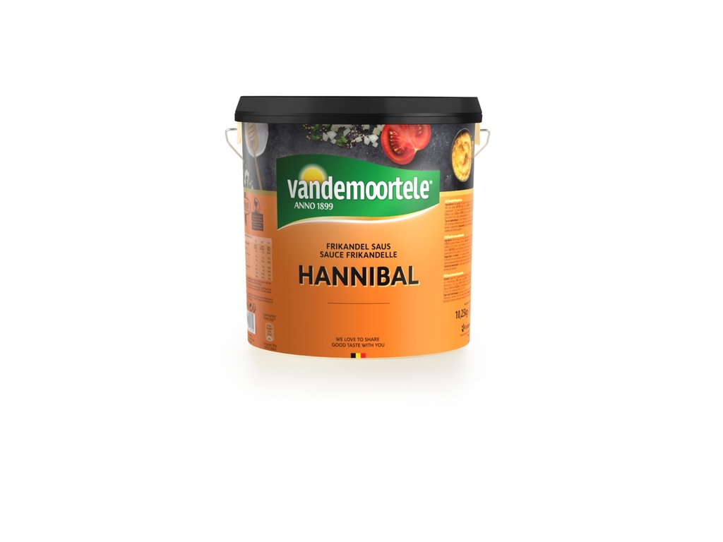 Hannibal Saus Vandemoortele Emmer 10 L