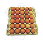 [5201] Oeufs Fraiches 30  pcs